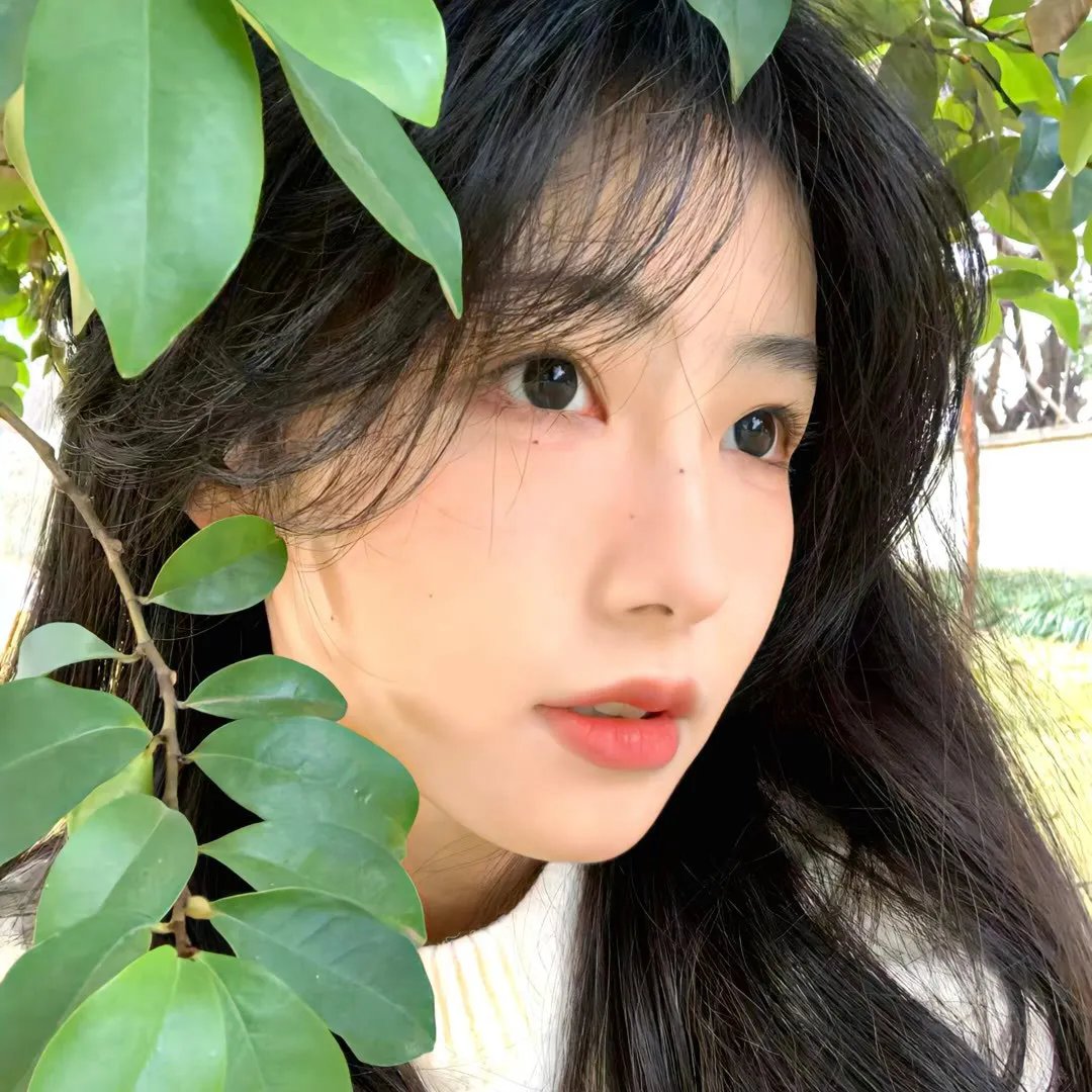 海狼
